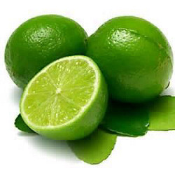 Lime, Essential Oil