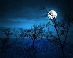 Midnight, Essential Oil